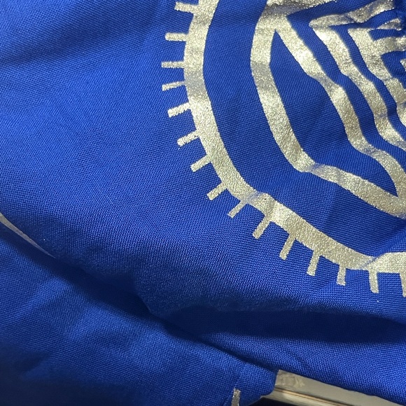 Ashro Royal Blue Pants w/ shimmery Silver Accents - Picture 12 of 12